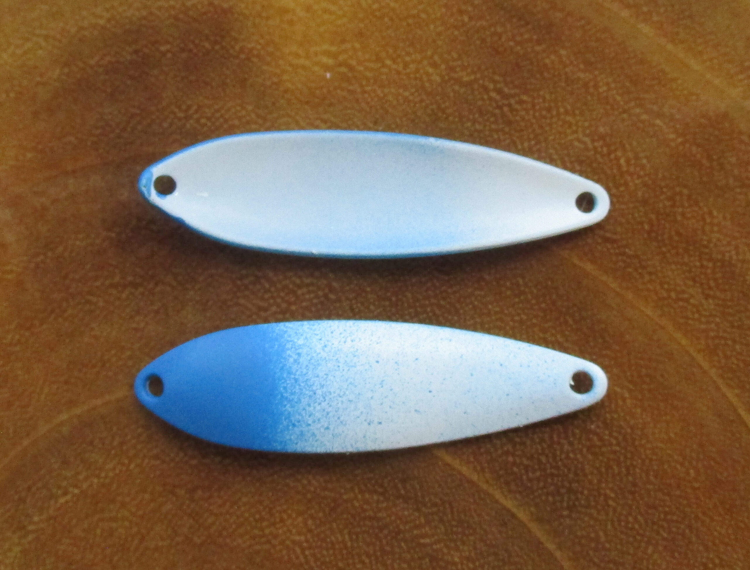 Belkis Blue Spot