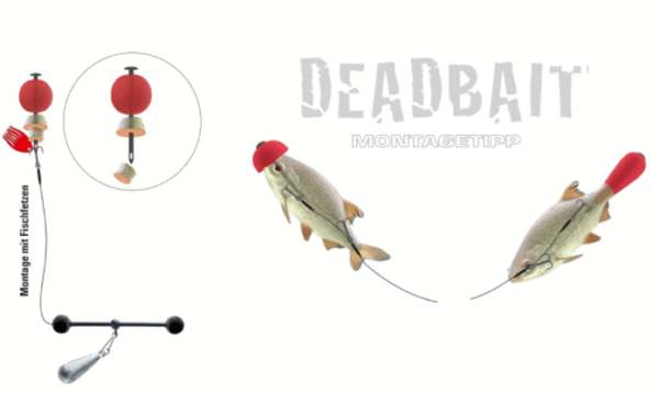 Dead Bait Pop-Up Kit - Image 4
