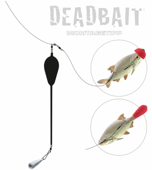 Dead Bait Pop-Up Kit - Image 3